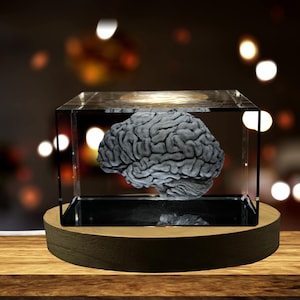 Brain Art 3D Engraved Crystal Keepsake Gift/Decor Collectible Souvenir Personalized-3d-Crystal-Photo-Gift Customized-3d-Photo-En image 1