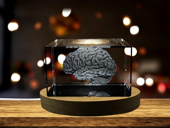 Brain Art | 3D Engraved Crystal Keepsake | Unique Recognition Gift