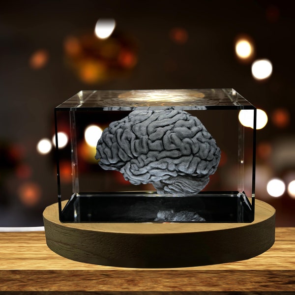 Arte del cervello |Ricordo di cristallo inciso in 3D |Regalo/decorazione |Da collezione Regalo personalizzato con foto di cristallo 3D