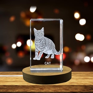 Uniek 3D-gegraveerd kristal met kattenontwerp - perfect cadeau voor kattenliefhebbers