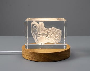 Art de l'oreille pour oto-rhino-laryngologiste | Souvenir en cristal gravé 3D | Cadeau pour médecin cadeau photo en cristal 3D personnalisé