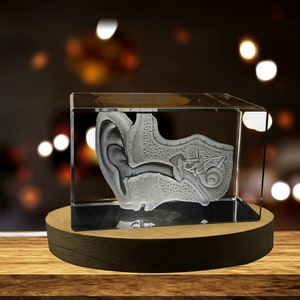 Ear-Art-For-Otolaryngologist |  3D-Engraved-Crystal-Keepsake | Gift-For-Doctor| Collectible | Souvenir | personalized-3D-crystal-photo-gift
