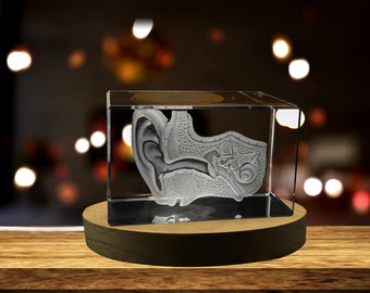Arte da orelha para otorrinolaringologista | Lembrança de cristal gravada 3D Lembrança | presente de foto de cristal 3D personalizado