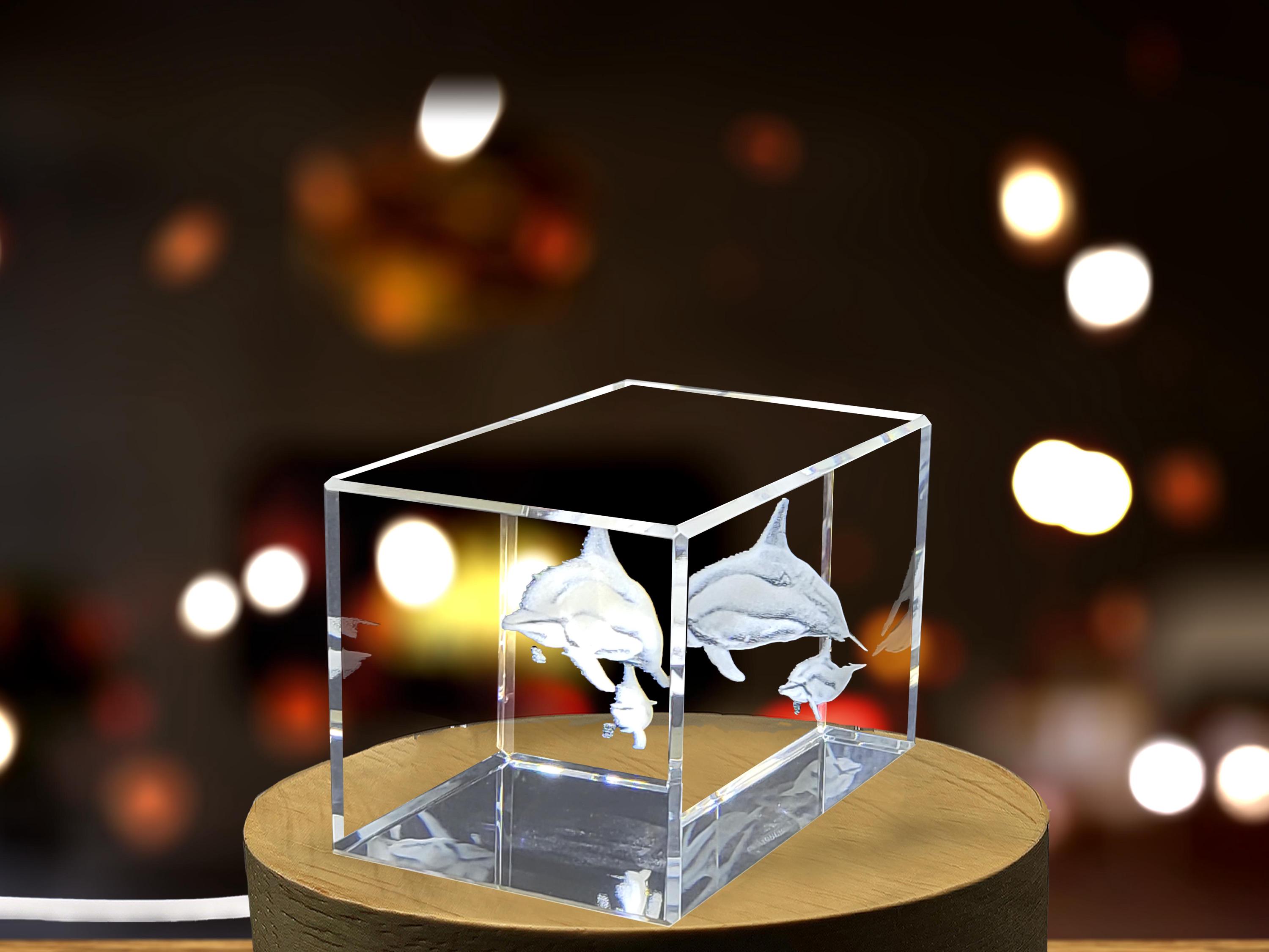Crystal Spinner Dolphin Statue: 3D Laser Etched Collectible - Free