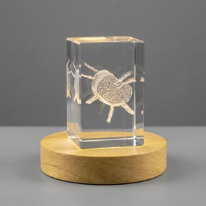 Lymph Nodes | Recognition 3D Engraved Crystal Keepsake