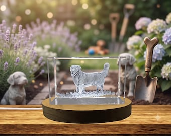Golden Retriever 3D Engraved Crystal with LED Light – Laser Engraved Dog Recognition Collectible Gift, Unique Home Decor Gift