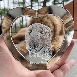 Personalized Pet 3D Engraved Crystal Photo Gift pet Loss, Dog Memorial, pet sympathy gift image 3