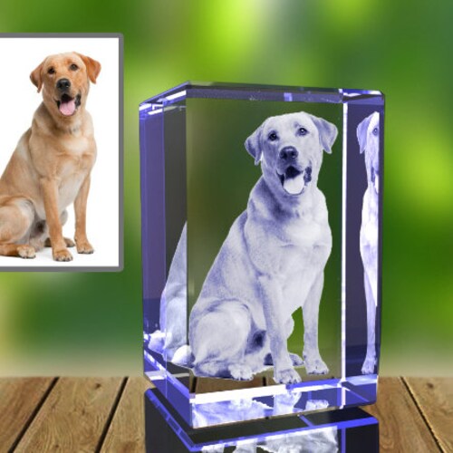 Personalized Glass Photo Paperweight Pet Memorial Gift Etsy