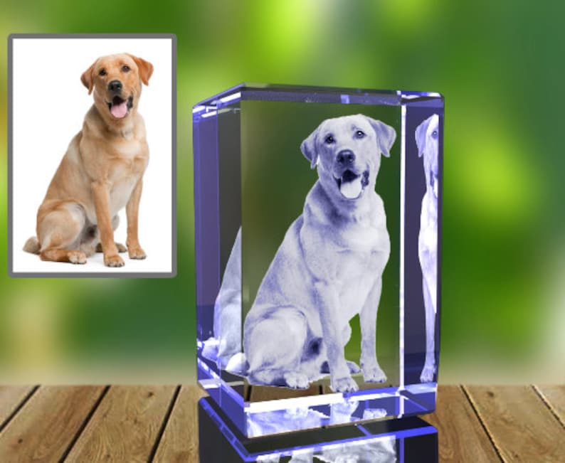 Personalized Pet 3D Engraved Crystal Photo Gift pet Loss, Dog Memorial, pet sympathy gift image 1