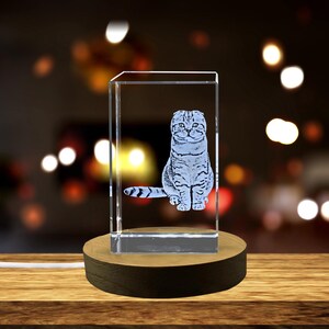Peut inclure: Un cube en verre transparent avec une image gravée en 3D d'un chat gris et blanc assis sur une base en bois. La base est munie d'un cordon.