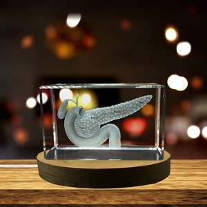 Pancreas Art | 3D Engraved Crystal gift