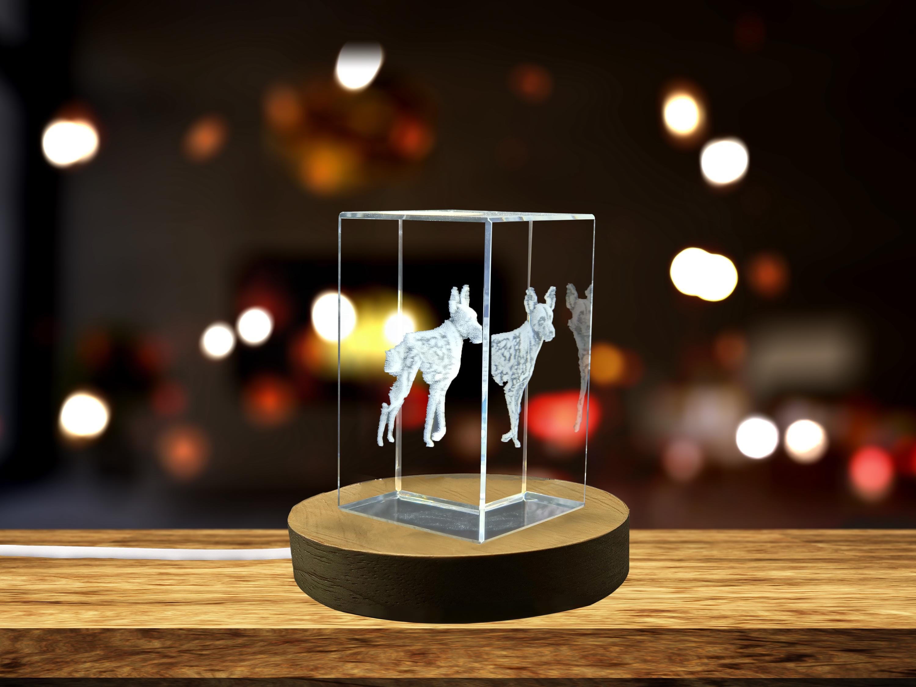 美しい 3D 彫刻クリスタル アトランティック クラブの置物 - Etsy 日本