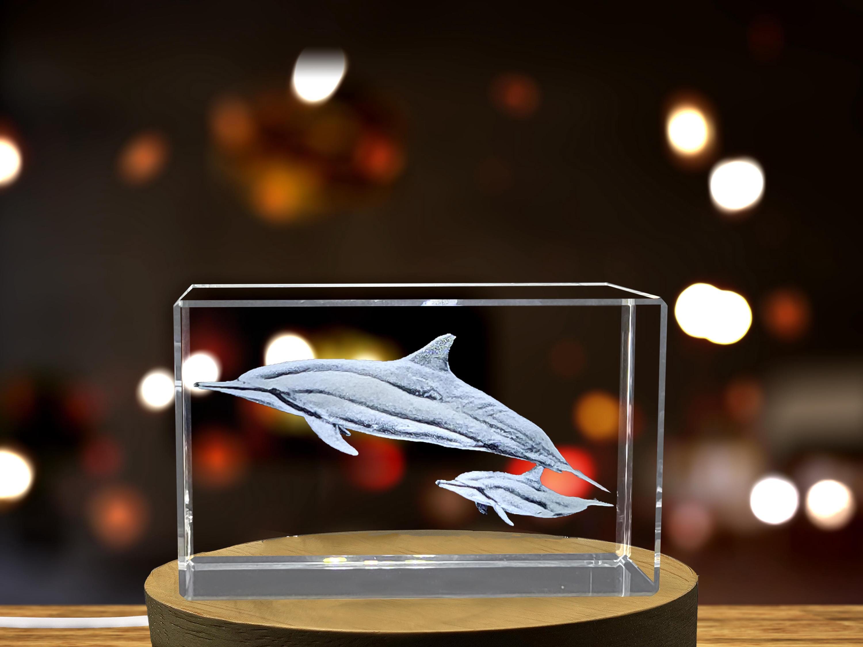 Crystal Spinner Dolphin Statue: 3D Laser Etched Collectible - Free