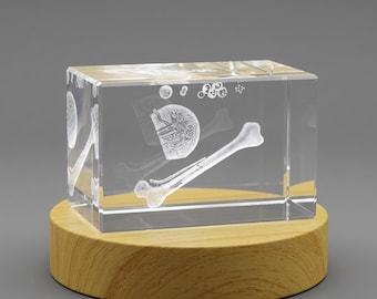 Bone Marrow Art | 3D Engraved Crystal Keepsake | Unique Recognition Gift