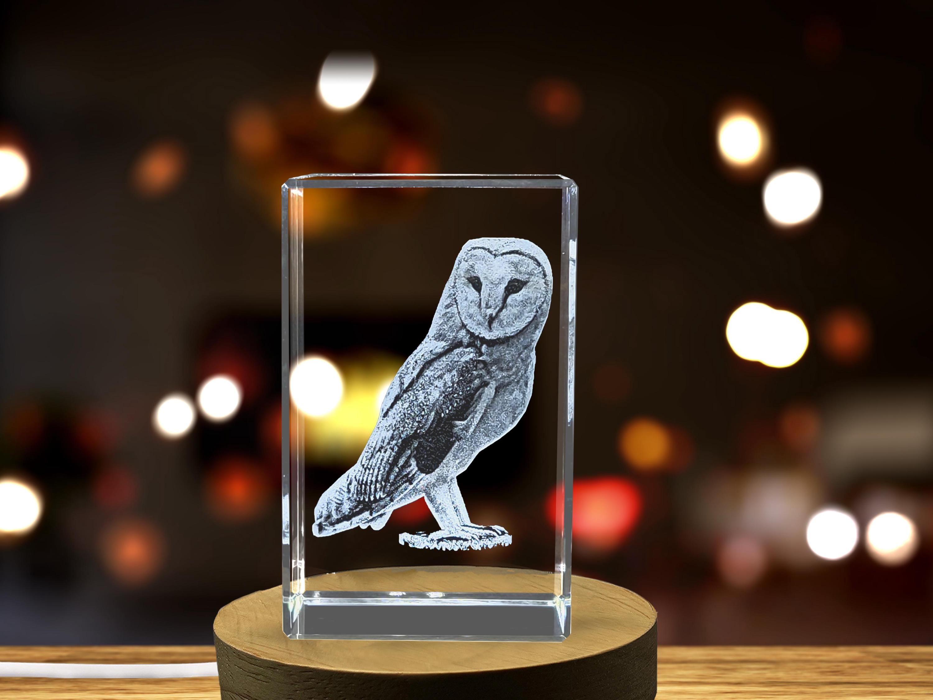 3D Engraved Barn Owl Crystal - Wildlife Recognition Keepsake With