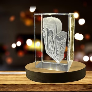 Tooth-Are| 3D Engraved Crystal Keepsake | Gift-For-Dentist| Collectible | Souvenir | personalized-3D-crystal-photo-gift |Customized 3d-photo