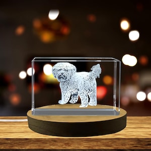 Può includere: Un cane bianco è inciso in un cubo di cristallo trasparente, che si trova su una base di legno. Il cubo è illuminato dal basso, creando un effetto 3D.