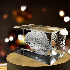 Brain Art | 3D Engraved Crystal Keepsake | Unique Recognition Gift - Etsy
