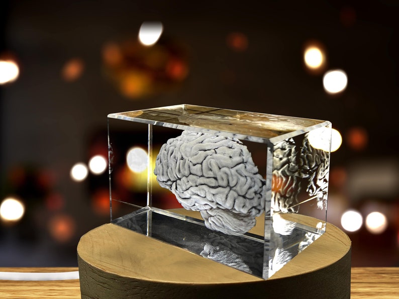 Brain Art 3D Engraved Crystal Keepsake Gift/Decor Collectible Souvenir Personalized-3d-Crystal-Photo-Gift Customized-3d-Photo-En image 2