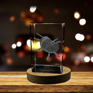 Può includere: Un cubo di vetro trasparente con un'immagine incisa in 3D di una zecca. Il cubo è su una base di legno.