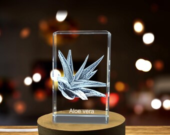 Lebende Aloe-Vera-Pflanze im Kristall mit aufwendiger 3D-Gravur geformt -  Etsy.de