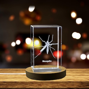 Op de afbeelding: Een heldere glazen kubus met een 3D-gegraveerd beeld van een mug. De kubus staat op een houten basis en heeft een lichtbron eronder. De tekst "Mosquito" is gegraveerd op de onderkant van de kubus.