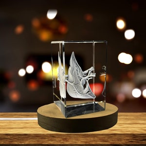 Leber-Kunst | 3D-graviertes Kristall-Andenken | Geschenk/Dekoration | Sammlerstück | Andenken | Personalisiertes 3D-Kristallfotogeschenk