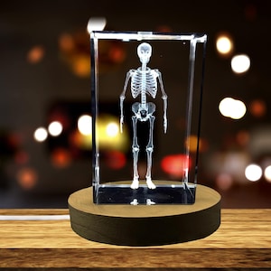 Human Skeleton 3D Engraved Crystal Novelty Decor