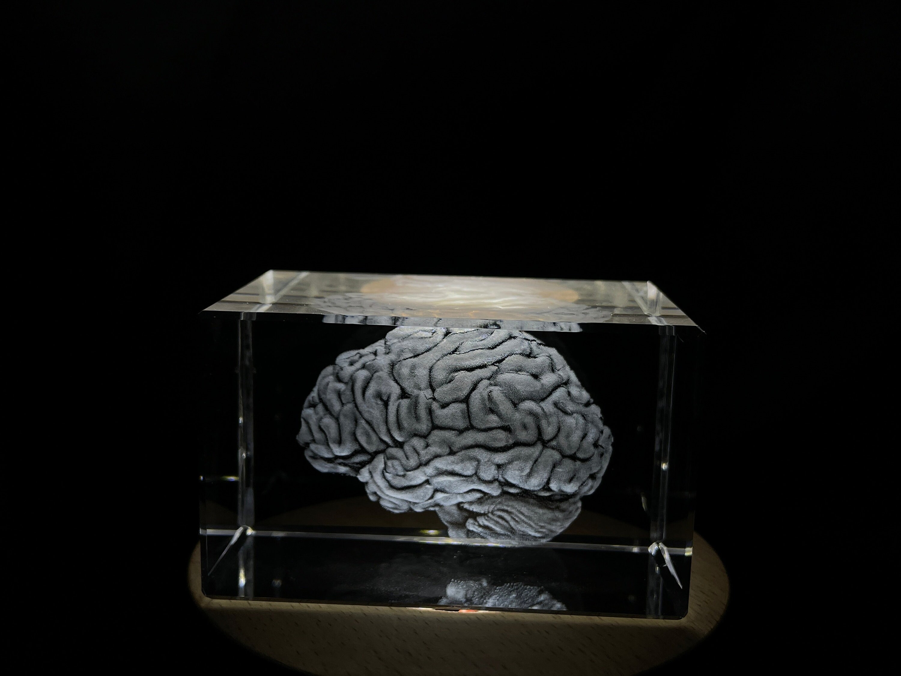 Brain Art 3D Engraved Crystal Keepsake Gift/decor - Etsy