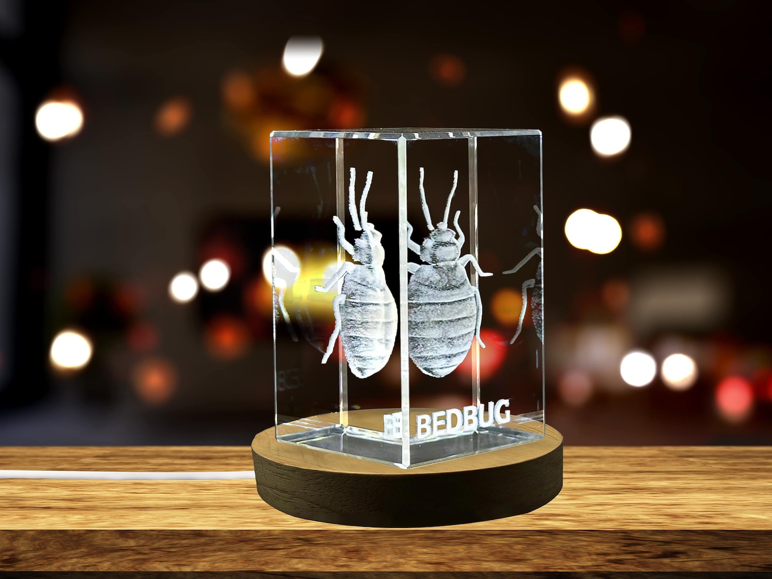 3D Engraved Crystal Bed Bug Figurine 3D Engraved Crystal Bed Bug Figurine
