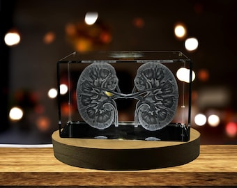 Kidneys | 3D Engraved Crystal Keepsake | Gift/Decor | Collectible | Souvenir  | Personalized-3d-Crystal-Photo-Gift | Customized-3d-Photo-Eng