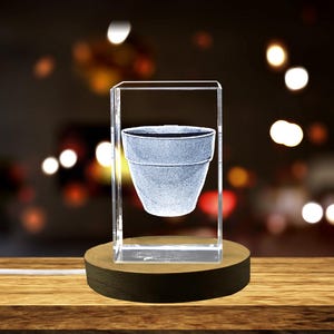 Peut inclure: Un cube en verre transparent avec une image gravée en 3D d'un pot de fleurs à l'intérieur. Le cube est sur une base en bois avec un cordon attaché.