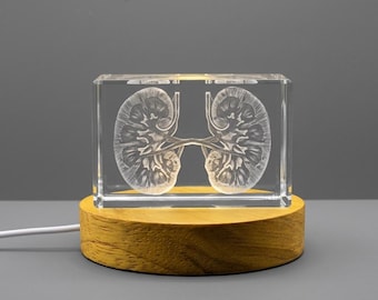 Kidneys | 3D Engraved Crystal Keepsake | Doctors Recognition Gift