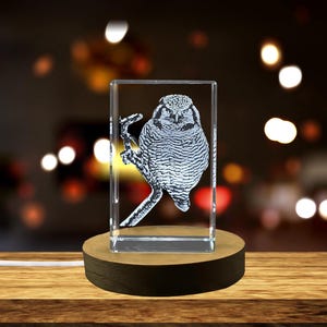 May include: A crystal paperweight with a 3D etched image of an owl perched on a branch. The paperweight is illuminated from below, casting a soft glow on the owl.