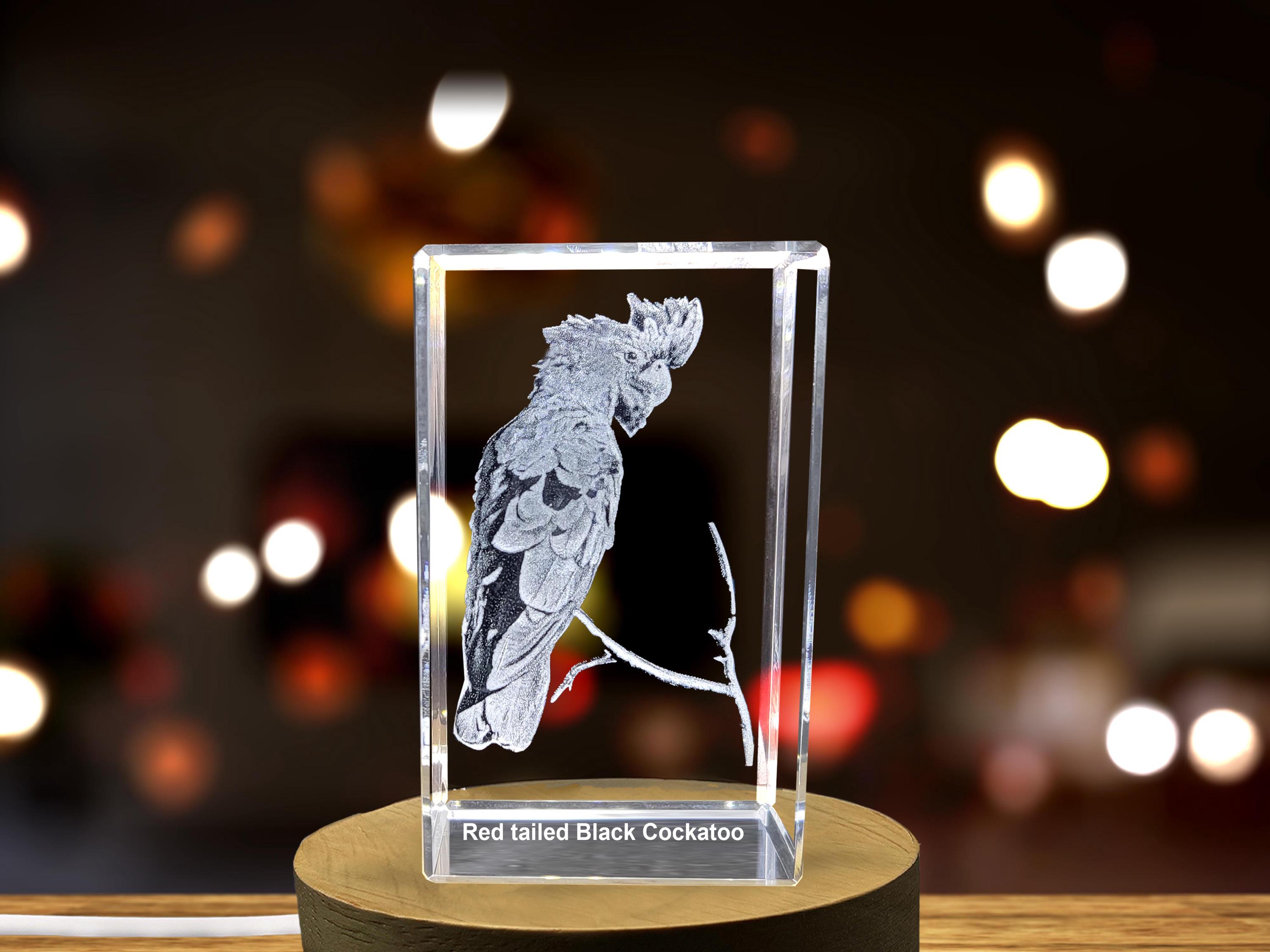 活発なクリスタルのアカオウムの彫刻 - 羽のある傑作 - Etsy 日本