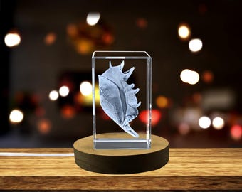 3D Conch Seashell Crystal Trophy – Engraved Recognition Award, Nautical Home Decor & Unique Collectible Gift
