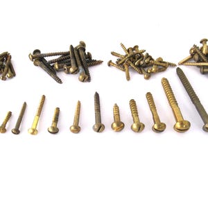 May include: A collection of brass screws of various sizes and lengths. The screws have a round head with a slot for a screwdriver.