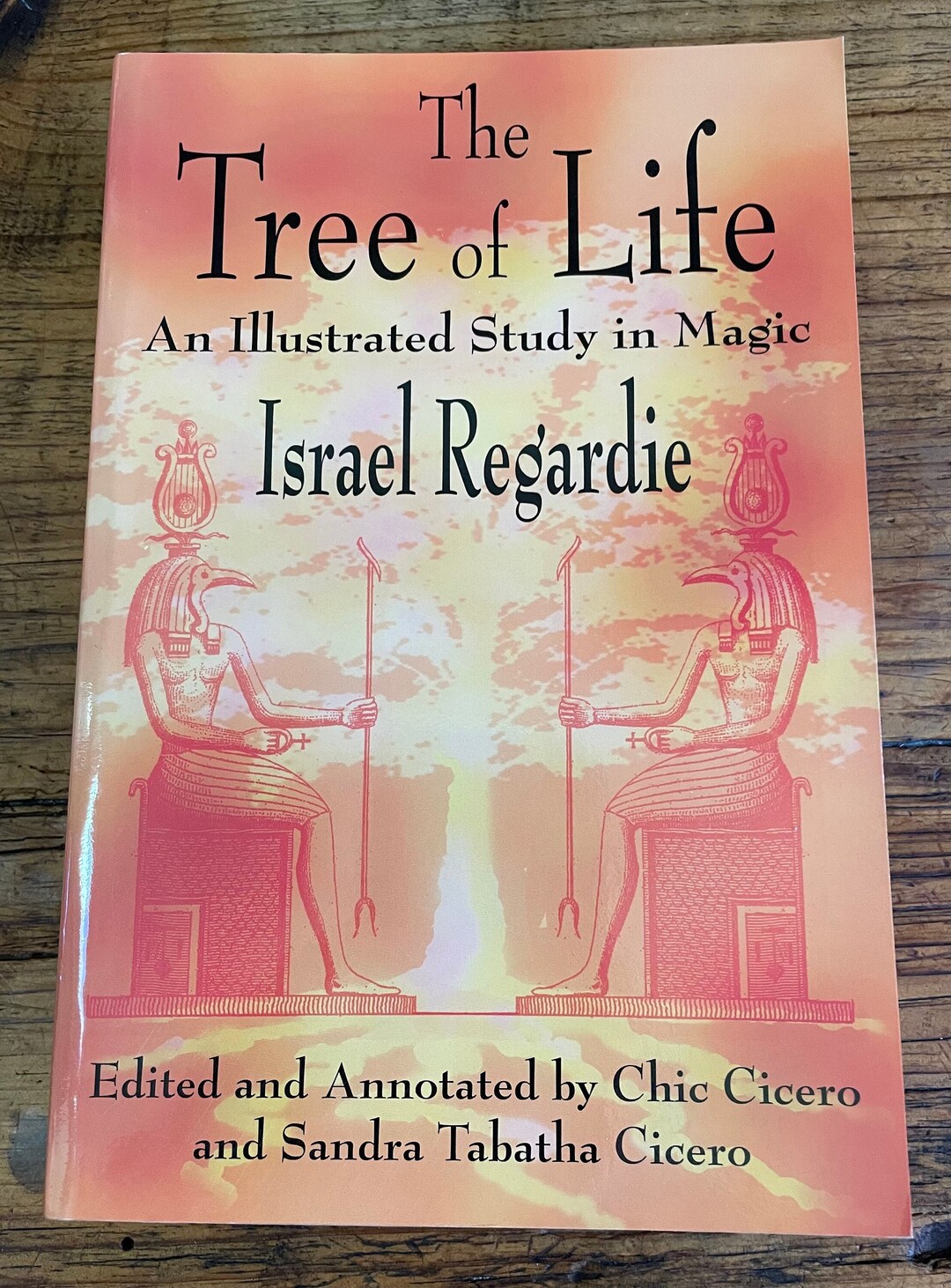 2001 Regardie 3rd Edition the Tree of Life VF - Etsy