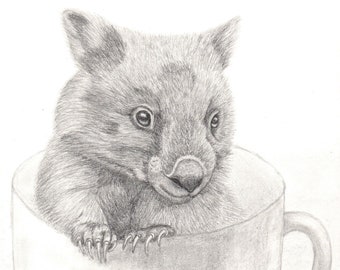 Cup of Joey Series: "Wombat Joey", Original Graphite Drawing (Framed)