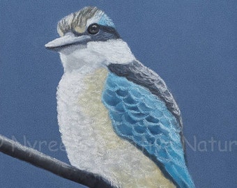 Limited Edition Kingfisher Print/ Original Australian Wildlife Art