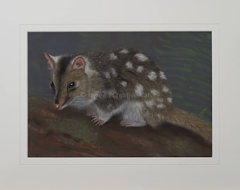 Eastern Quoll Greeting Card