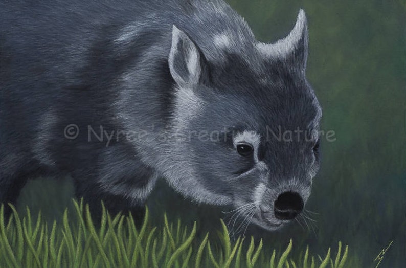 Limited Edition Wombat Print/ Original Australian Wildlife Art image 1