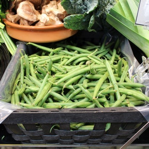 100 Seeds -Commodore Bush Bean -All Purpose Winner-  Also Known as Kentucky Wonder Bush--Save Big on More Packs -Mix and Match! Sale!
