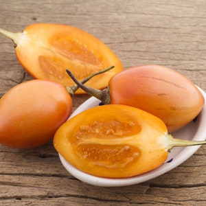 10 Heirloom Tropical Seeds -RARE Yellow Tropical Tree Tomato  -Solanum Betacea-Save Big on More Packs -Mix and Match! Sale!
