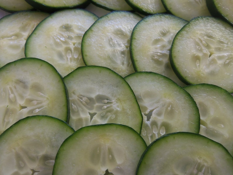 HeritageSeedShop National Pickling Cucumber Seeds