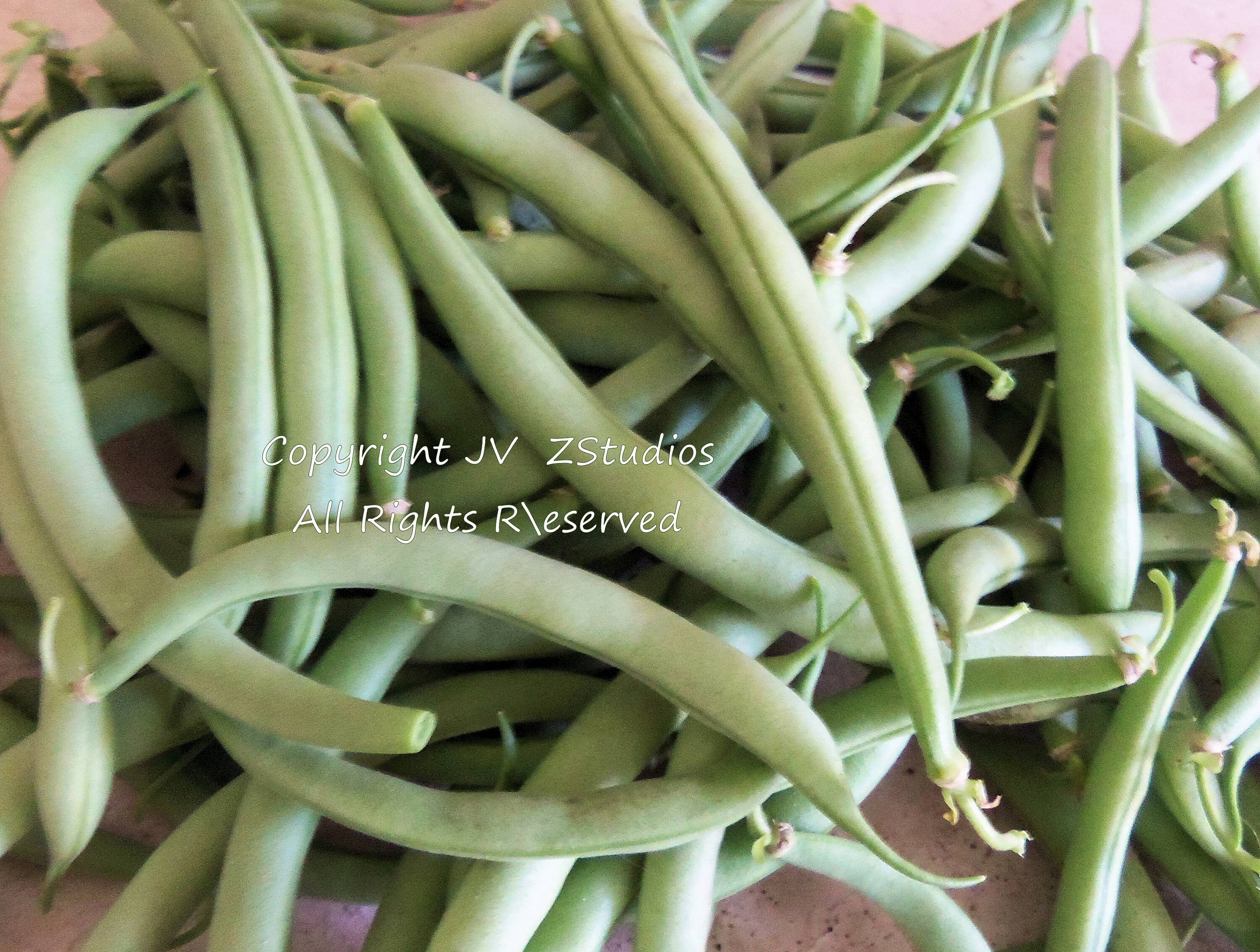 50 Seeds White Half Runner Green Bean produces high yields | Etsy White Half Runner Green Bean Seeds