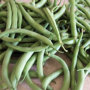 May include: A bunch of fresh green string beans, piled together on a light brown surface.