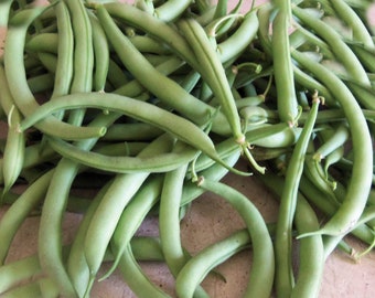 75 Seeds -White Half Runner Green Bean -High Yields -  Save Big on 2 or More Packs Mix and Match