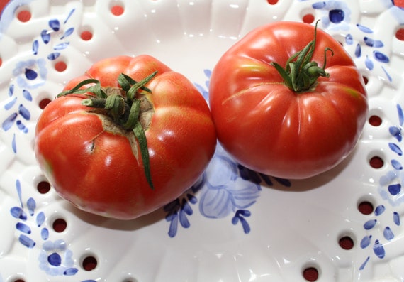 20 Heirloom Vegetable Seeds pink Brandywine Tomato slicing Tomato