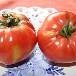 20 Heirloom Vegetable Seeds -Pink Brandywine Tomato